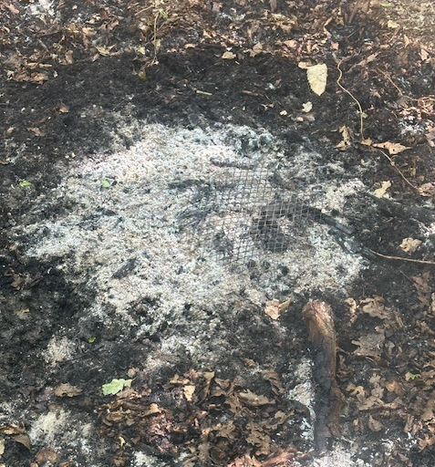 The discarded barbeque remains