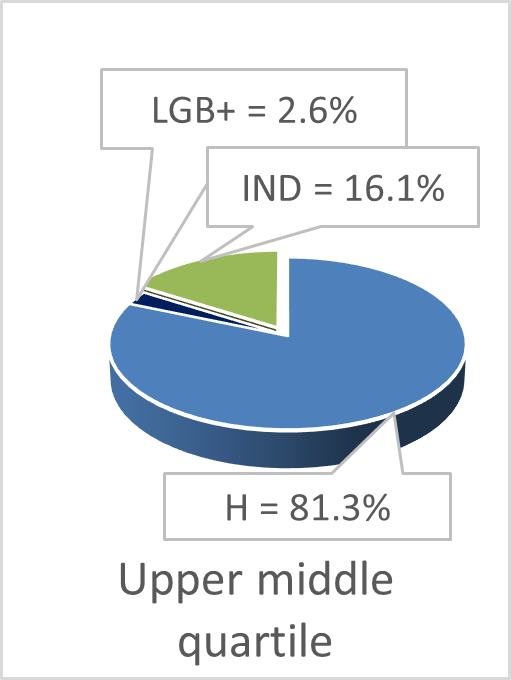 Pie diagram showing upper middle quartile as LGB+ 2.6%, heterosexual 81.3%, and identity not disclosed 16.1%