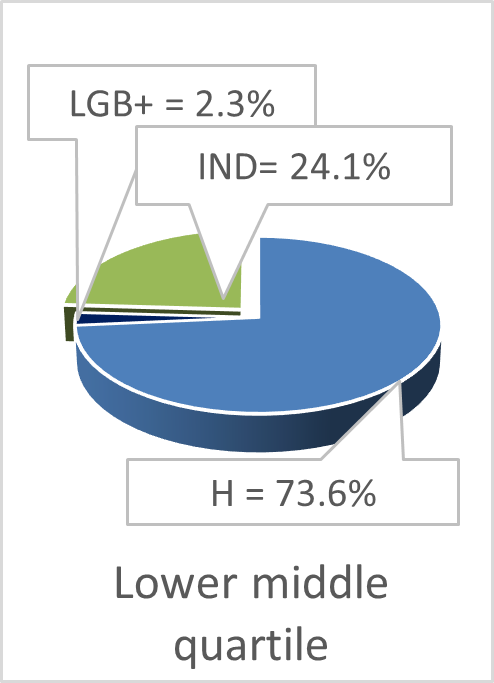 Pie diagram showing lower middle quartile as LGB+ 2.3%, heterosexual 73.6%, and identity not disclosed 25.3%