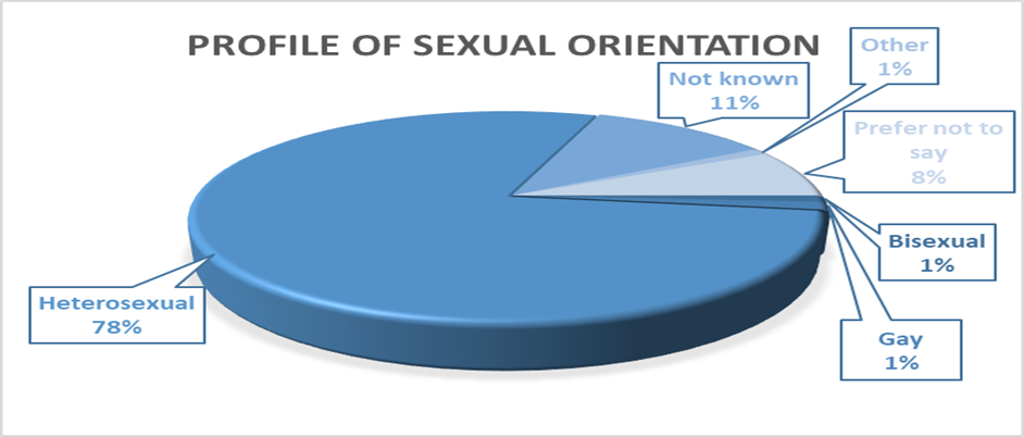 Pie chart showing 78% heterosexual, 11% not known, 8% prefer not to say, and 1 for other, bisexual and gay respectively.