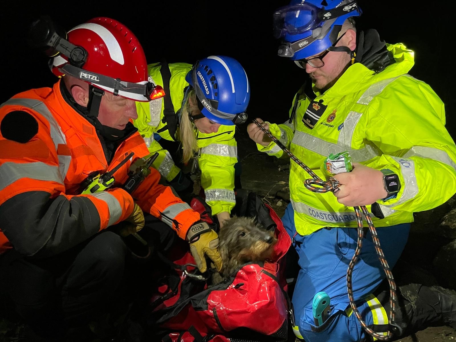 Crews rescued Bear the dog from a cliff face in Capel-le-Ferne, Folkestone.