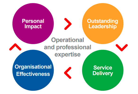 operational and professional expertise diagram