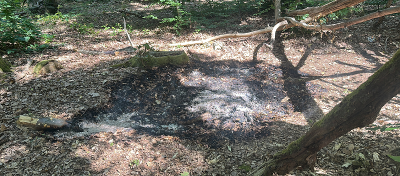 Scorched ground - the scene of the fire