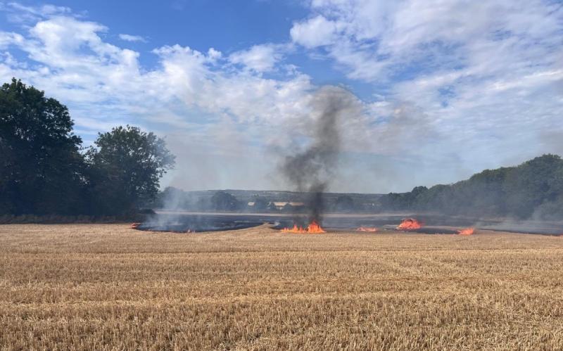 A field fire in Tudeley, Tonbridge.