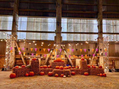 Pumpkins at lights at the Spooky Spectacular event
