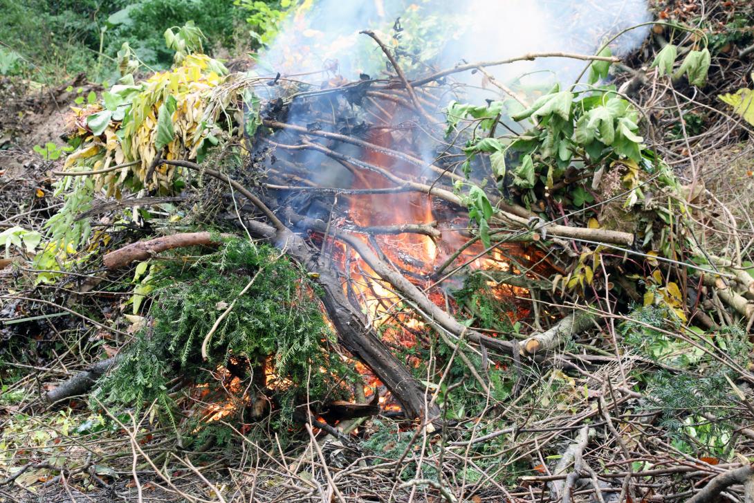 Garden bonfire