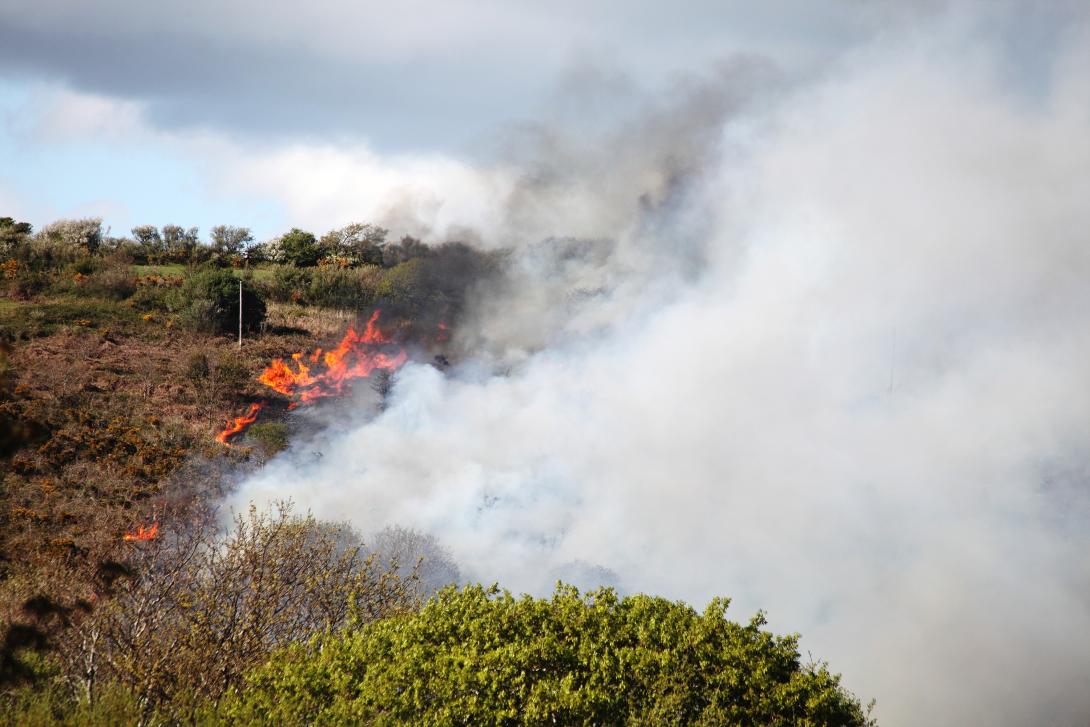wildfire in countryside