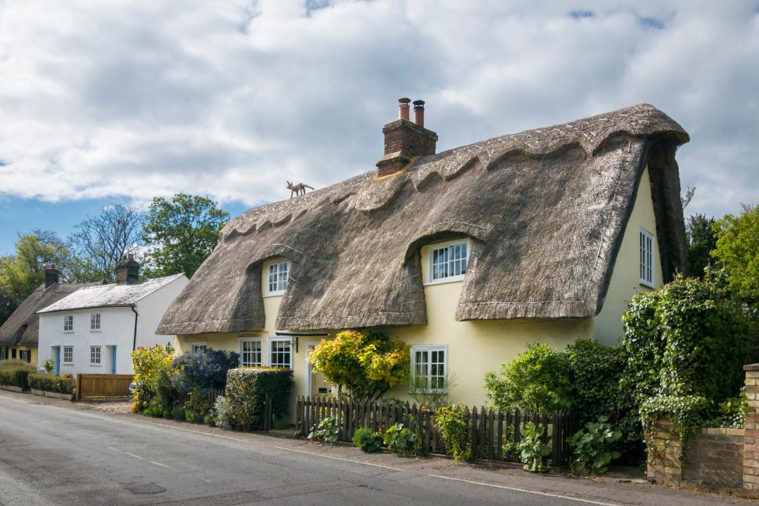 Thatched cottage 