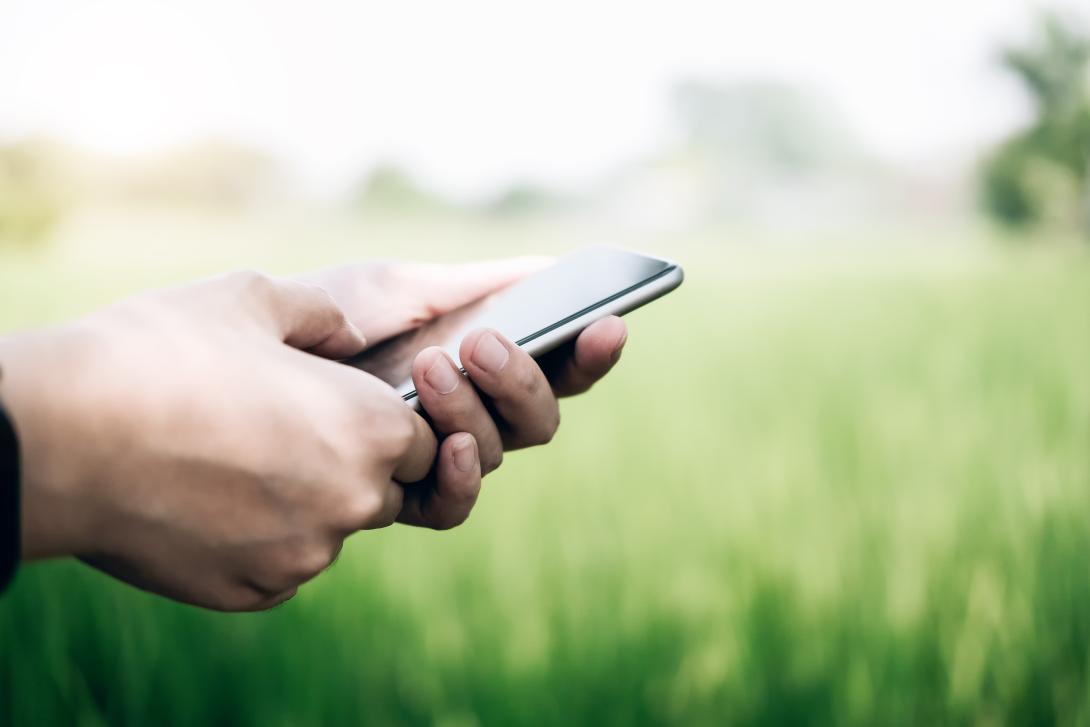 person on phone in rural setting