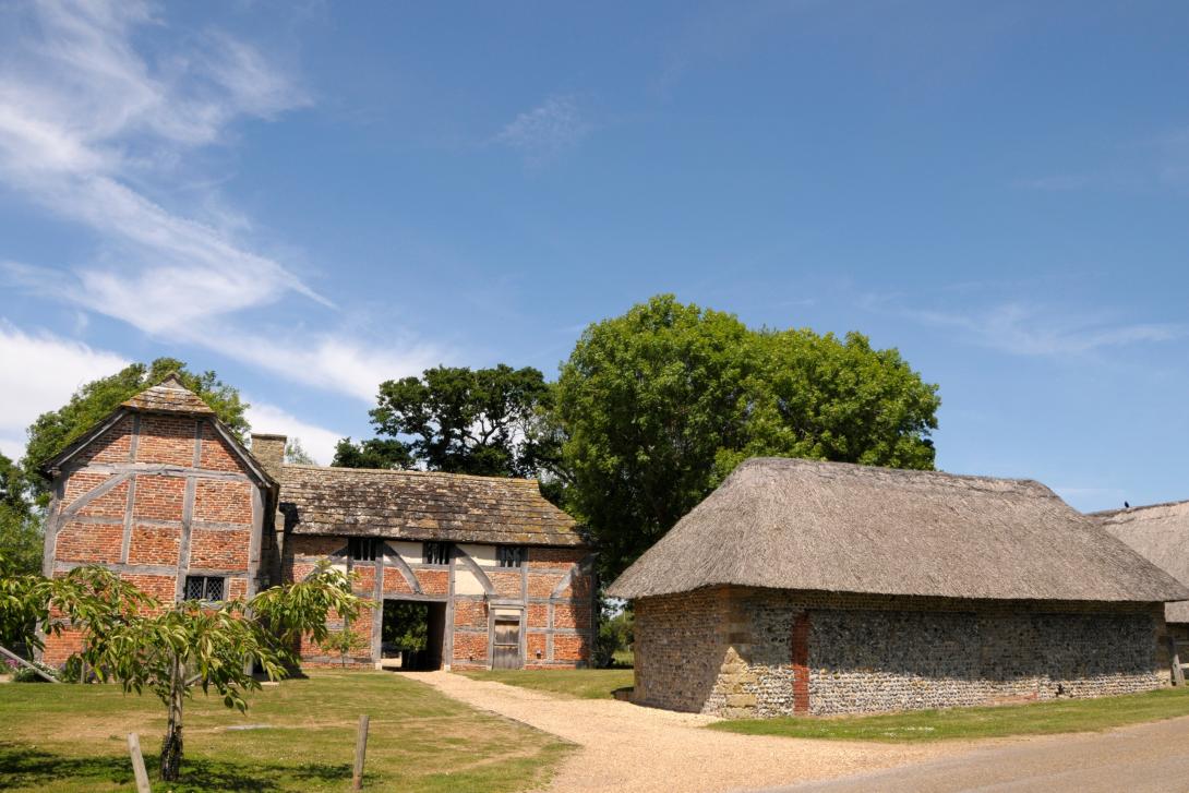Range of thatched farm buildings