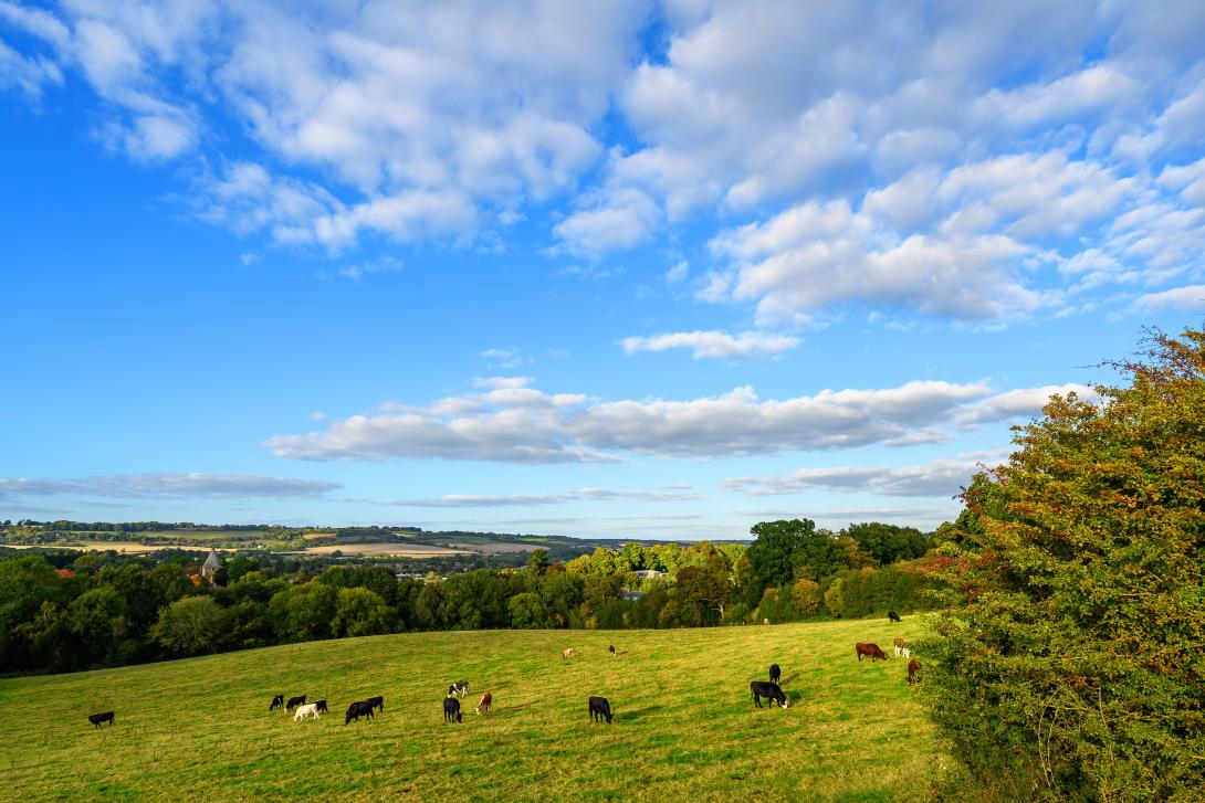Countryside near Westerham, Kent