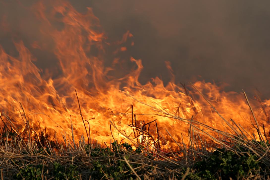 A large wildfire burns through grassland.