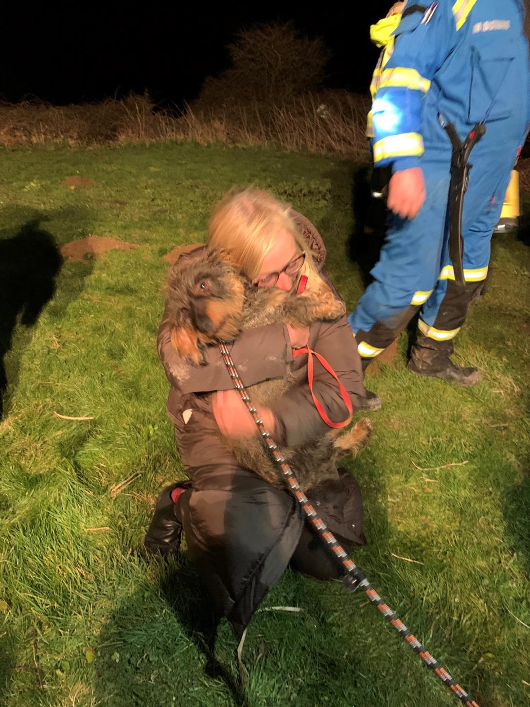 Bear the dog was rescued by crews in Capel-le-Ferne, Folkestone.
