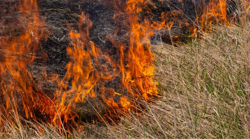 Grass fire that is spreading