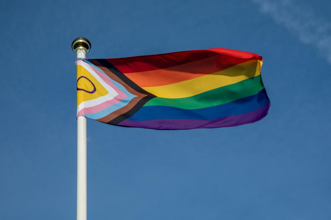 Intersex progress flag